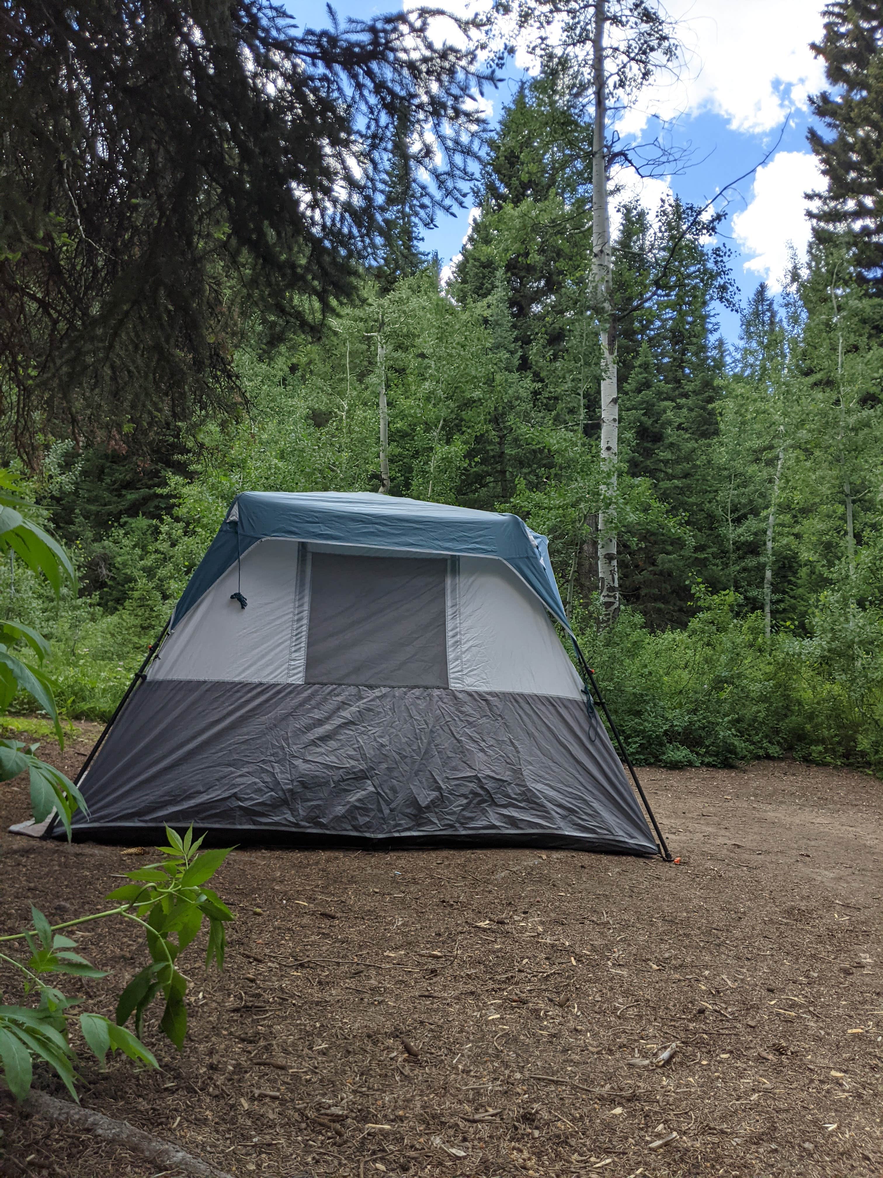 Heather K.'s photo at Spruces - Big Cottonwood near Brighton, UT