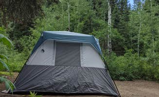 Heather K.'s photo at Spruces - Big Cottonwood near Cottonwood Heights, UT