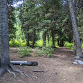 Review photo of Spruces - Big Cottonwood by Heather K., October 1, 2021