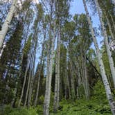 Review photo of Spruces - Big Cottonwood by Heather K., October 1, 2021