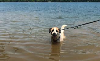 Kirstin A.'s photo of camping with pets at Birmingham Ferry/Smith Bay - LBL in Kentucky