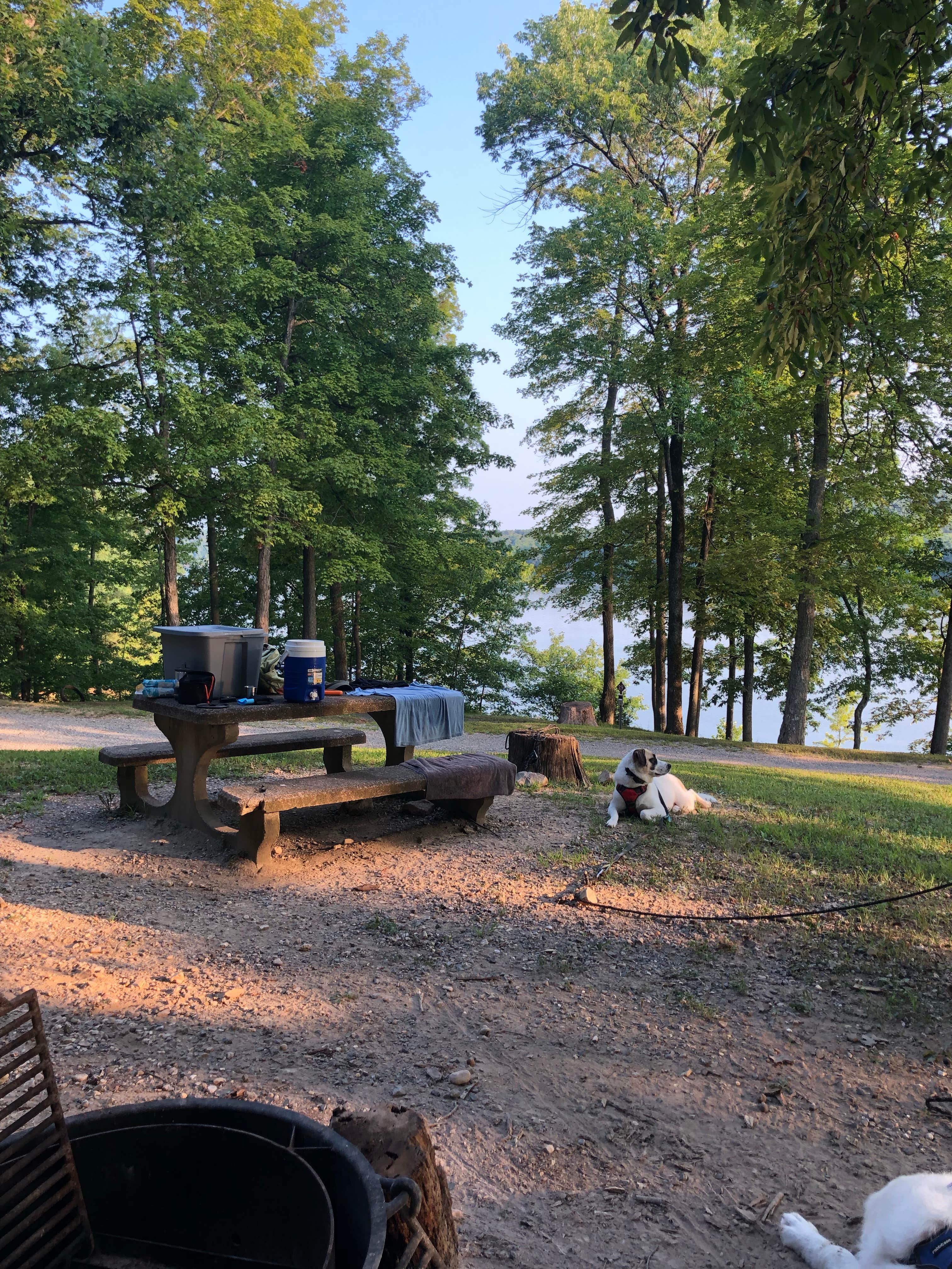 Kirstin A.'s photo at Birmingham Ferry/Smith Bay - LBL near Grand Rivers, KY