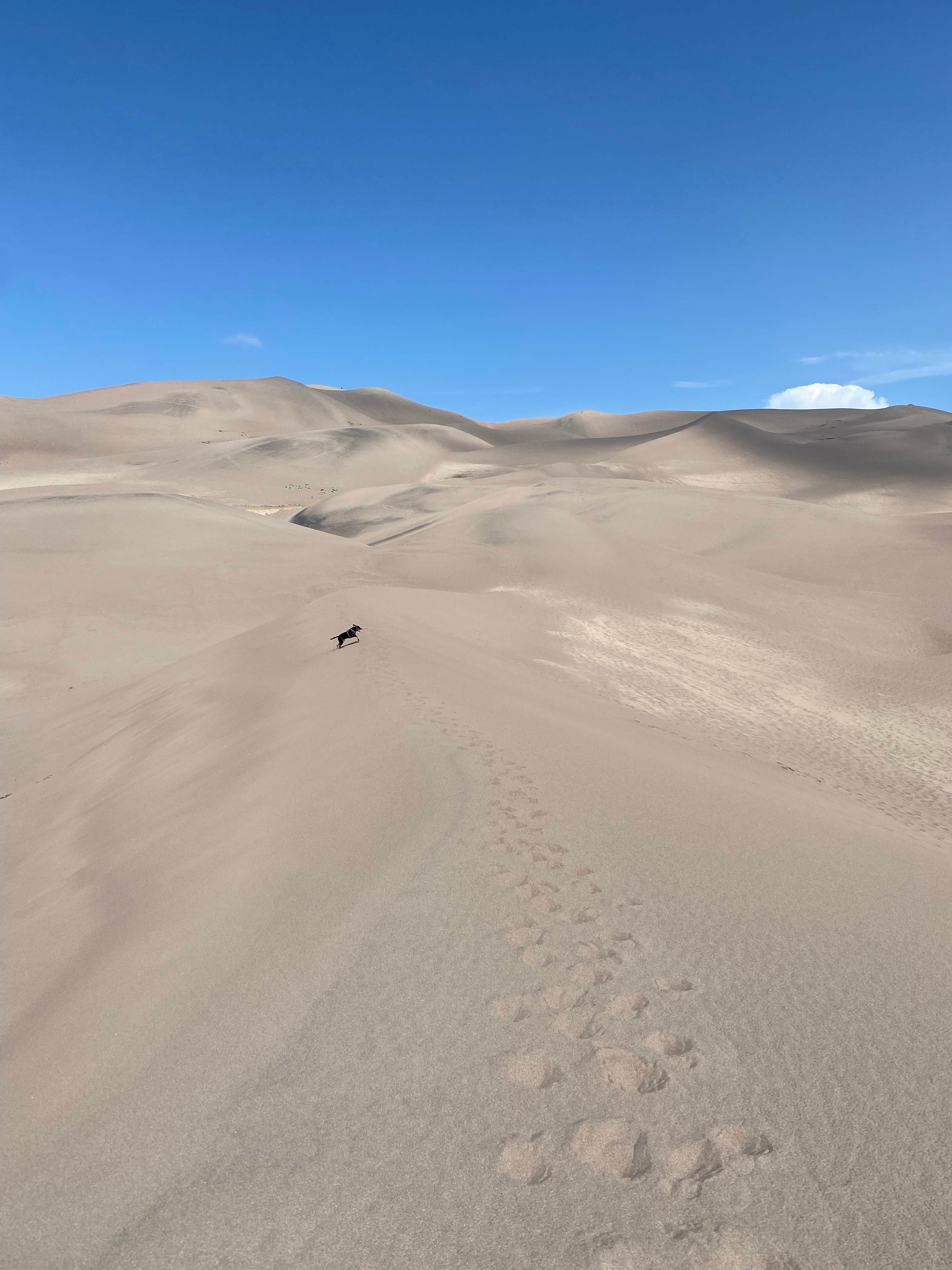 Camper-submitted photo at Cool Sunshine RV Park near La Jara, CO