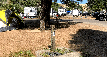 Siuslaw National Forest Spinreel Campground