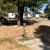 Review photo of Siuslaw National Forest Spinreel Campground by Laura M., October 1, 2021