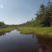 Review photo of Mount Desert Campground by Kelli M., July 2, 2018