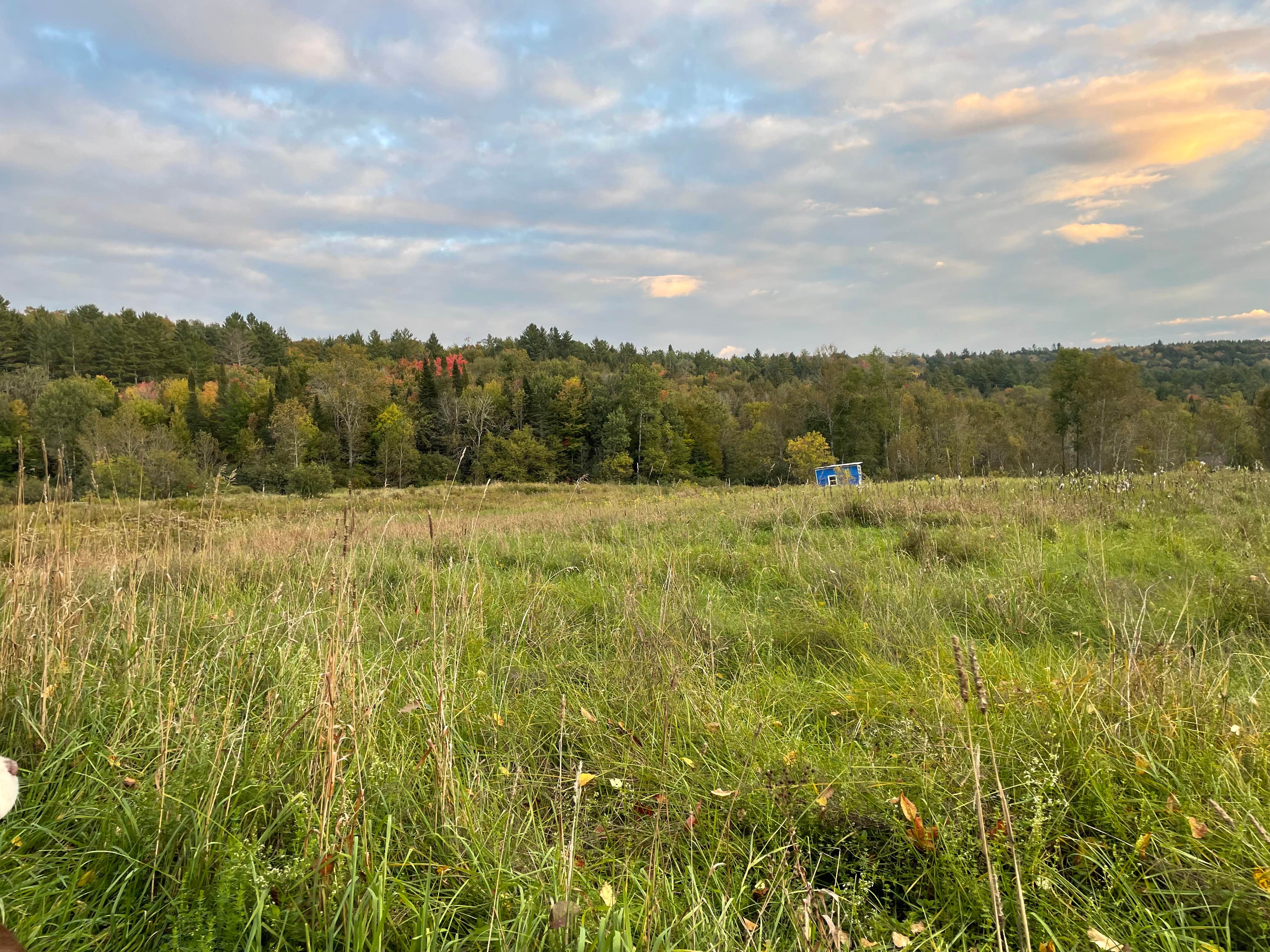Camper-submitted photo at Onion River Campground near Barre, VT