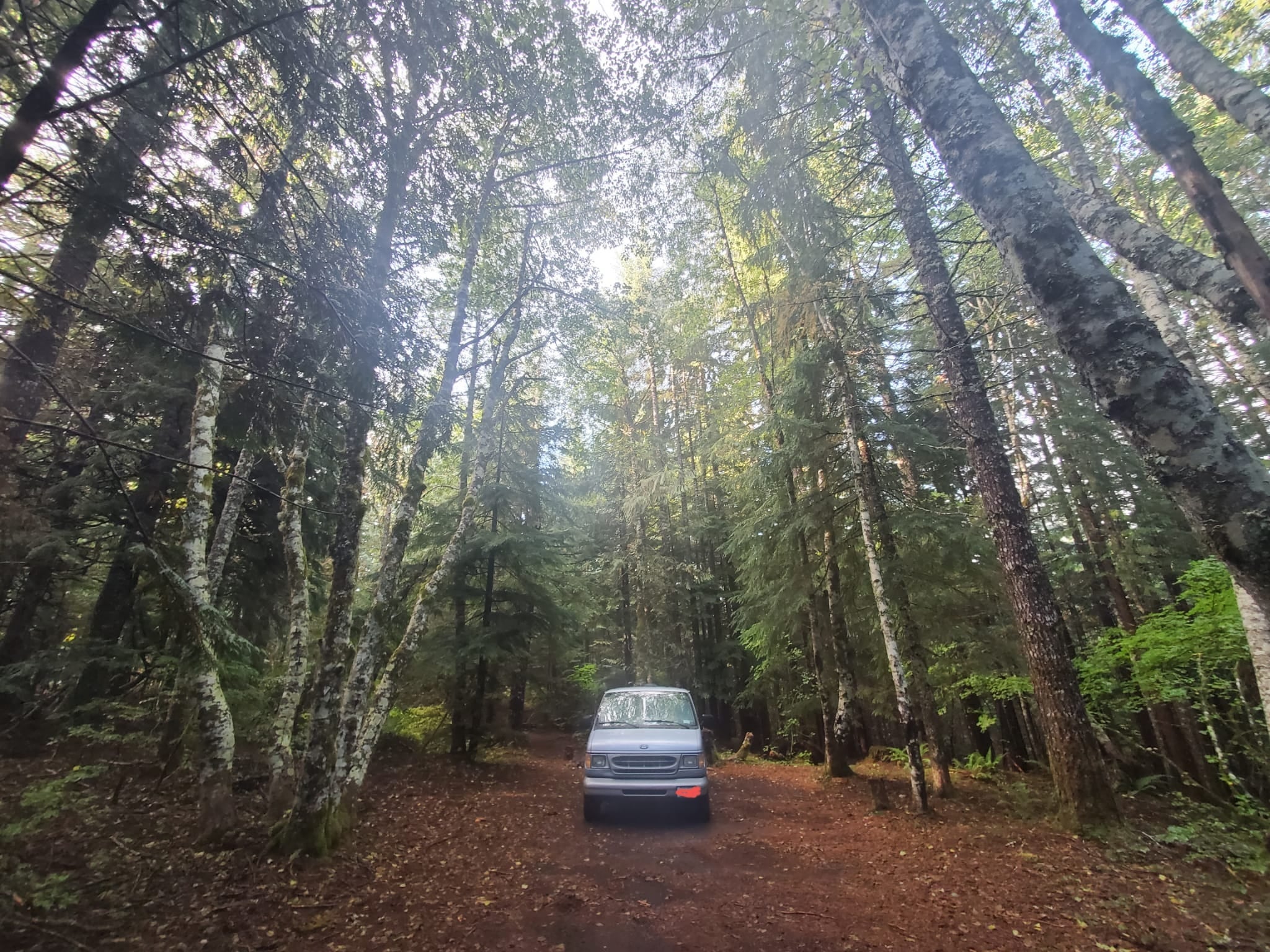 Camper submitted image from Gifford Pinchot National Forest Dispersed Site - 1