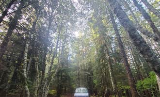 Camping near Swift Creek on Forest Road 83: Gifford Pinchot National Forest Dispersed Site, Gifford Pinchot National Forest, Washington