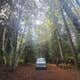Gifford Pinchot National Forest Dispersed Site