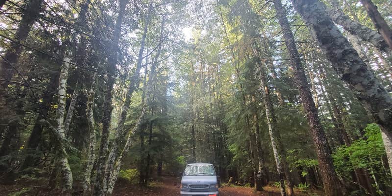 Camper submitted image from Gifford Pinchot National Forest Dispersed Site