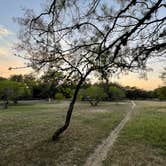 Review photo of Live Oak — Garner State Park by MARK T., September 30, 2021