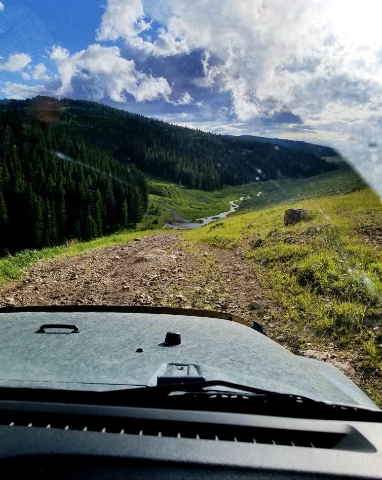 Camper-submitted photo at Bighorn National Forest near Greybull, WY