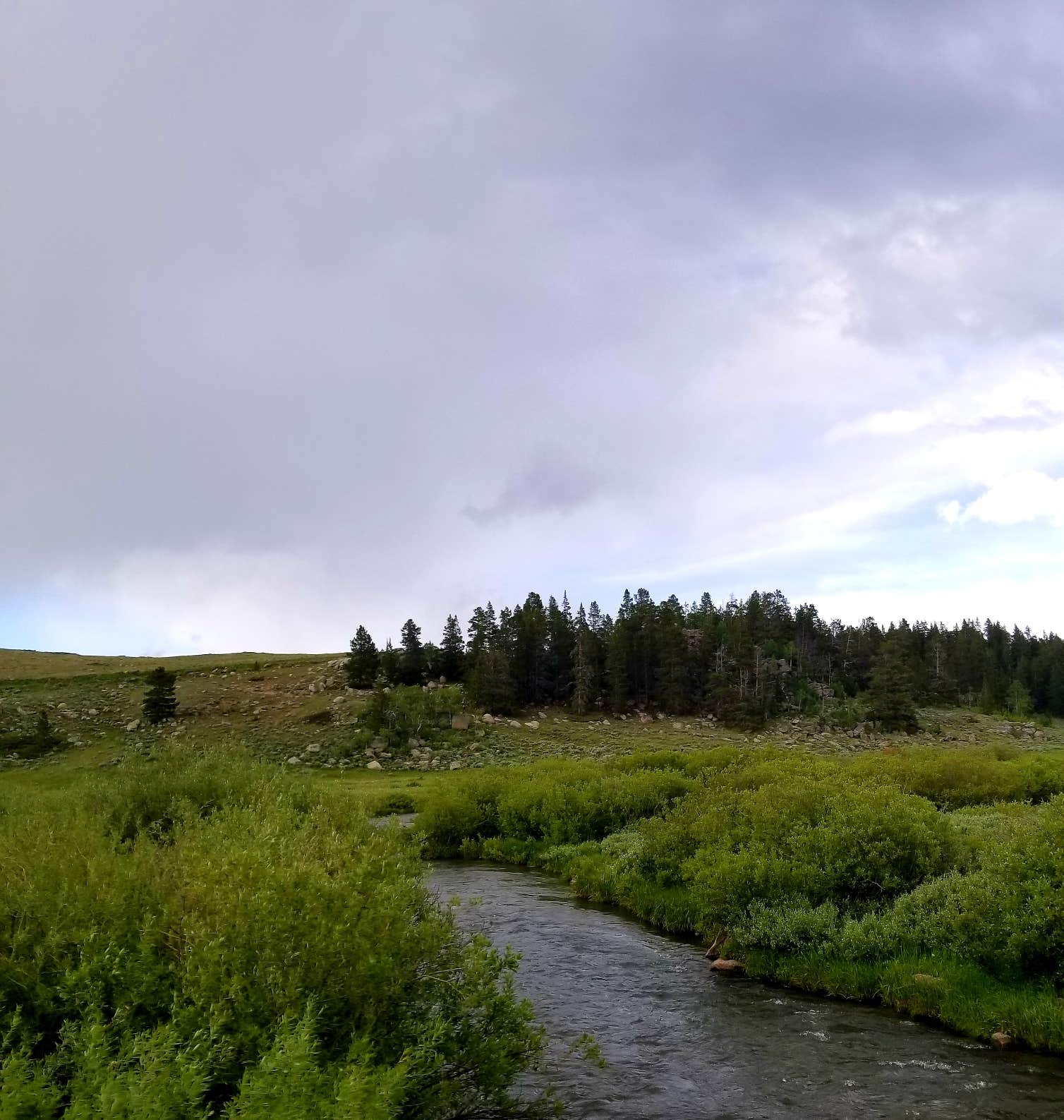 Camper-submitted photo at Bighorn National Forest near Greybull, WY