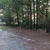 Review photo of Poplar Point Campground — Jordan Lake State Recreation Area by M. B., October 2, 2021