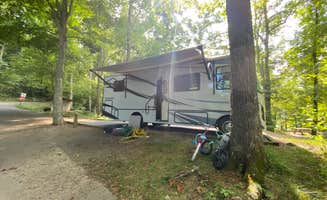 Boone's photo of rv camping at Cardens Bluff Campground near Bristol, VA