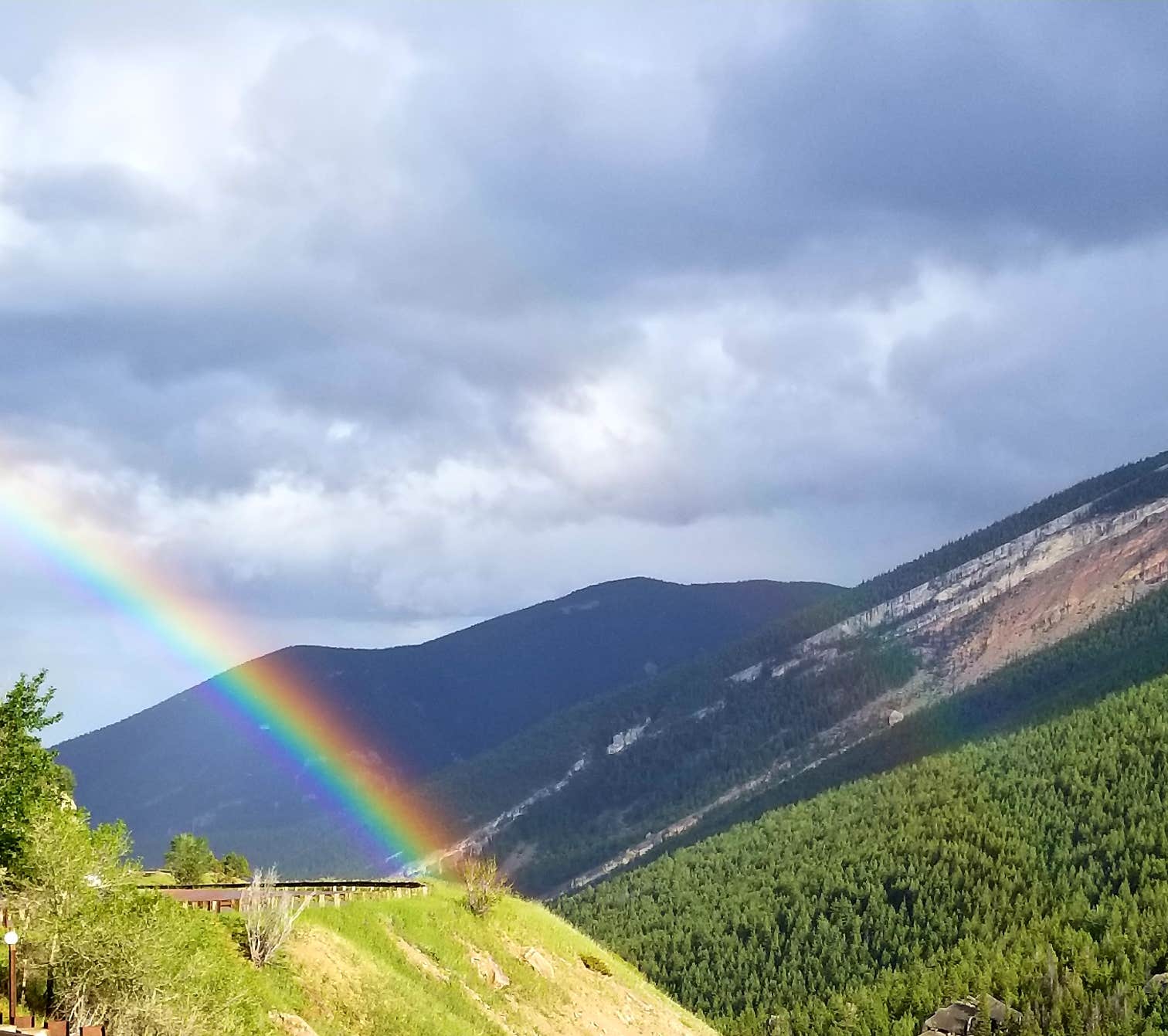 Camper submitted image from Bighorn National Forest - 2