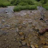 Review photo of Bighorn National Forest by vanessa  G., July 2, 2018