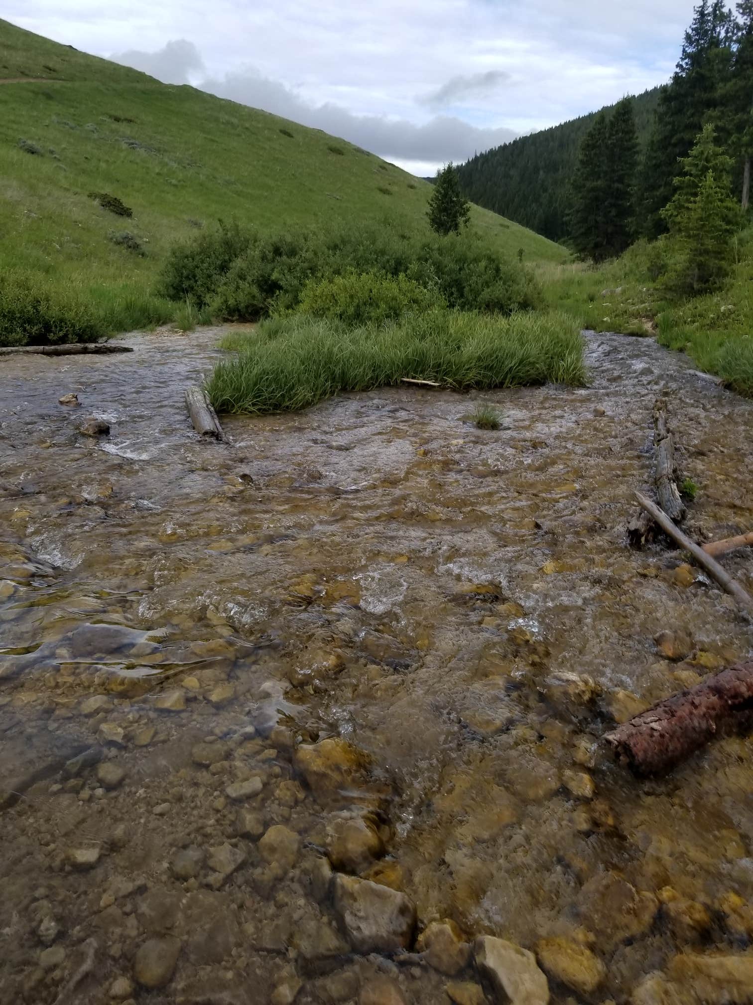 Camper submitted image from Bighorn National Forest - 4