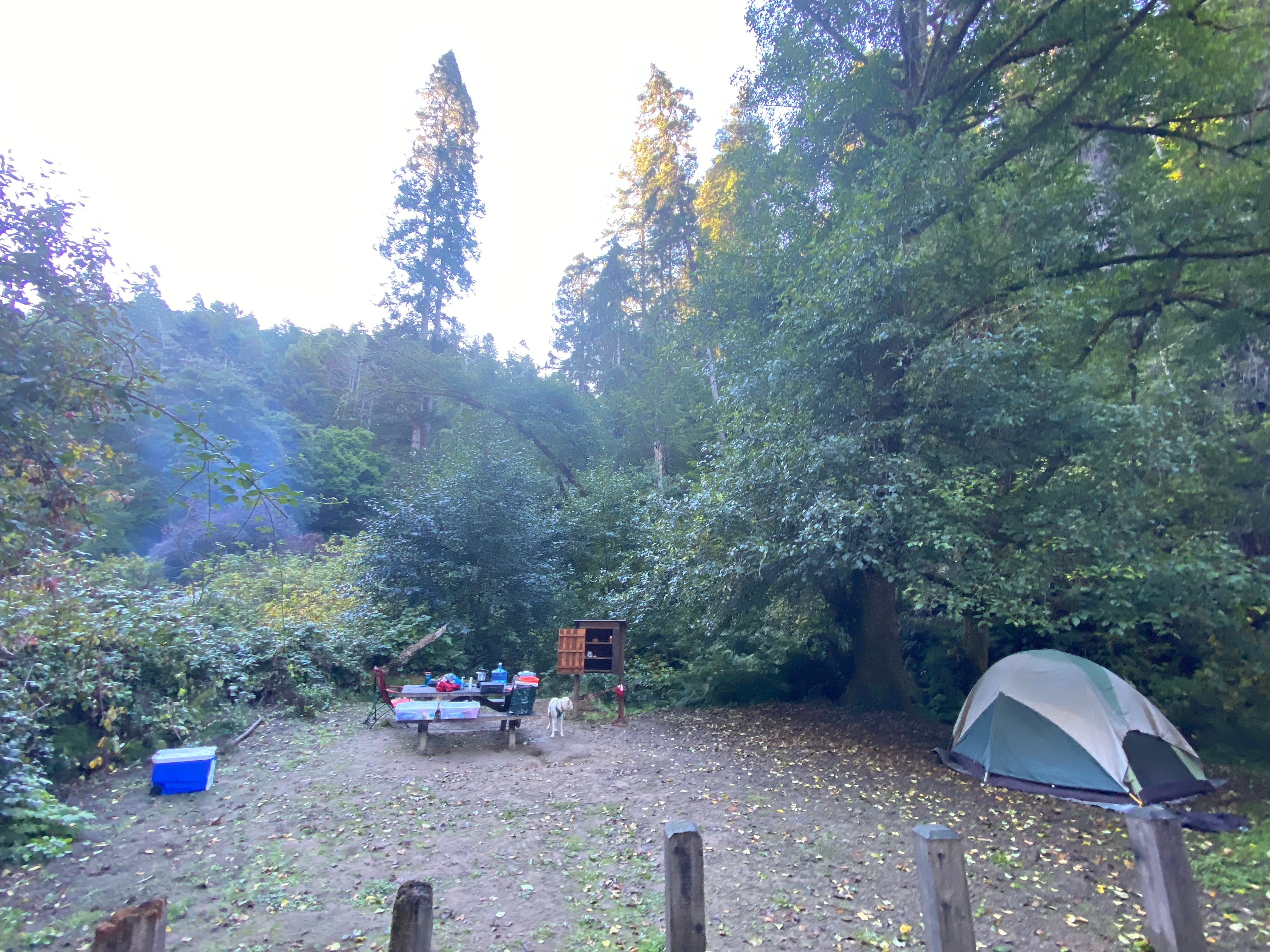 Camper submitted image from Russian Gulch State Park Campground - 1