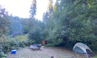 Camping near Navarro Beach - Navarro River Redwoods State Park: Russian Gulch State Park Campground, Mendocino, California
