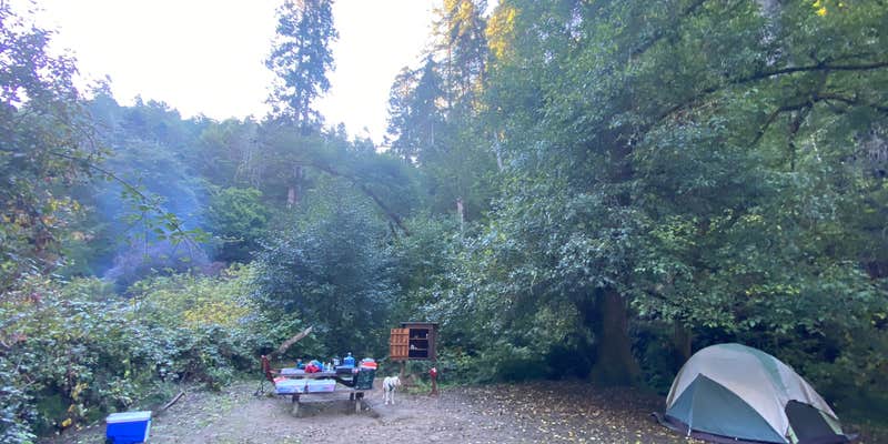 Camper submitted image from Russian Gulch State Park Campground