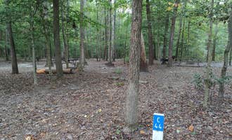 Camping near Goodwill Cabin — Prince William Forest Park: Burke Lake Park Campground, Burke, Virginia