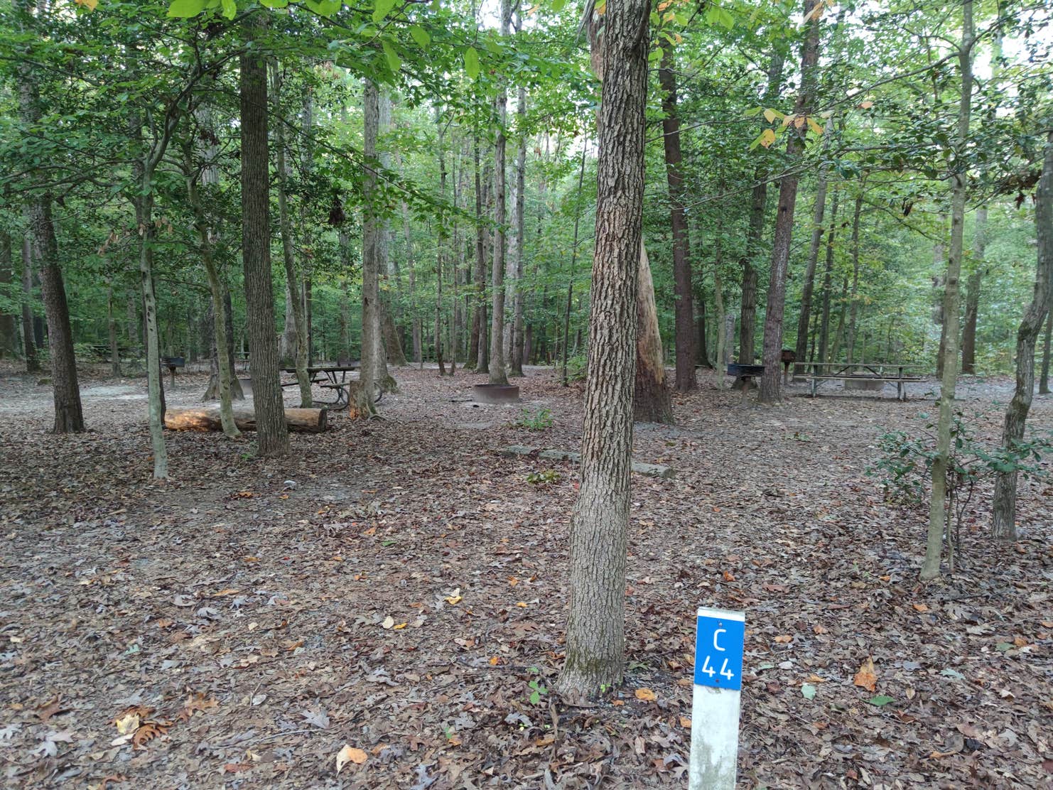 Burke Lake Park Campground Camping The Dyrt