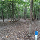 Review photo of Burke Lake Park Campground by James X., October 2, 2021