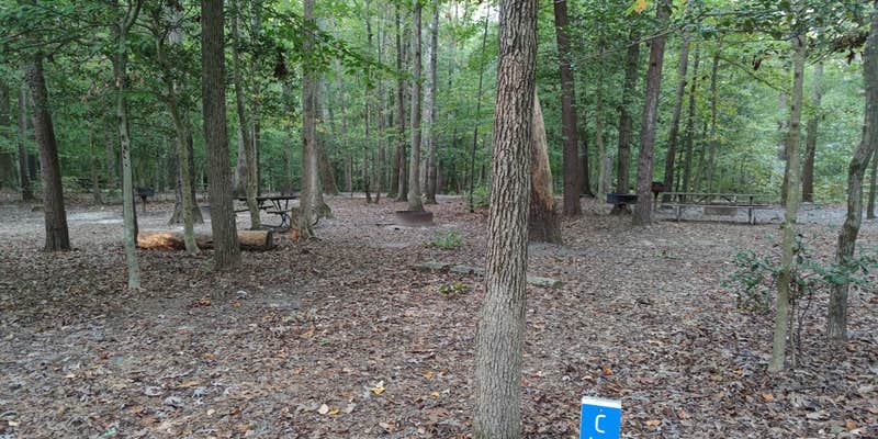 Camper submitted image from Burke Lake Park Campground