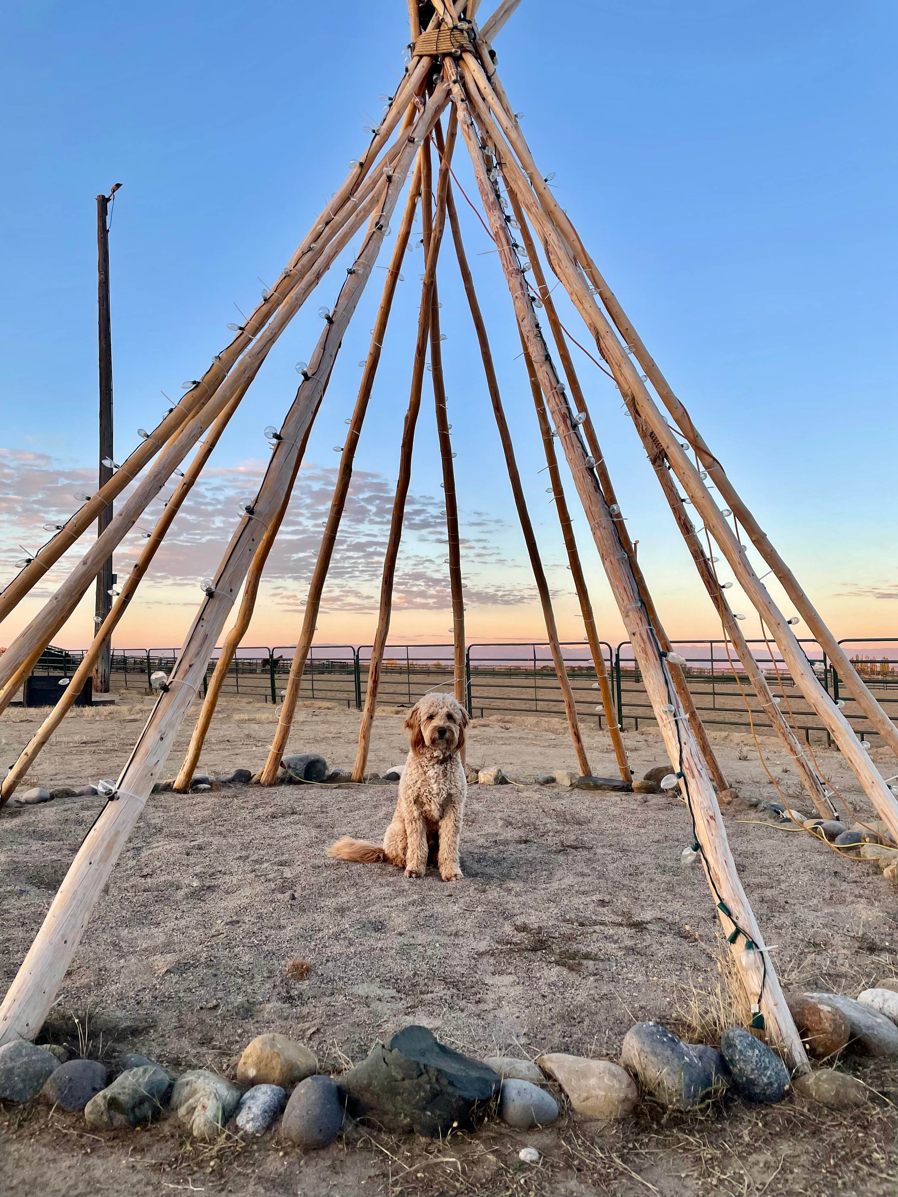 Amy G.'s photo of camping with pets at Jim Moss Arena Campground near Riverton, WY