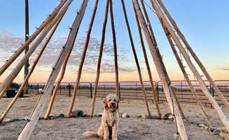 Amy G.'s photo of camping with pets at Jim Moss Arena Campground near Lysite, WY