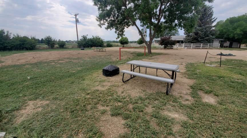 Camper submitted image from A Little Country in the City - County Line Hobby Farm - 3