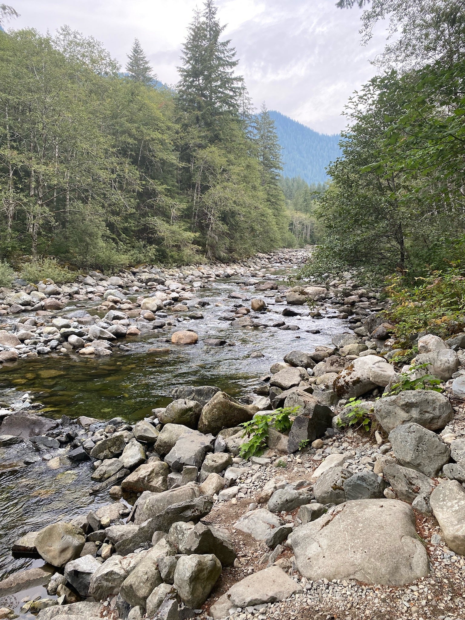 Camper submitted image from Middle Fork Snoqualmie River - 3