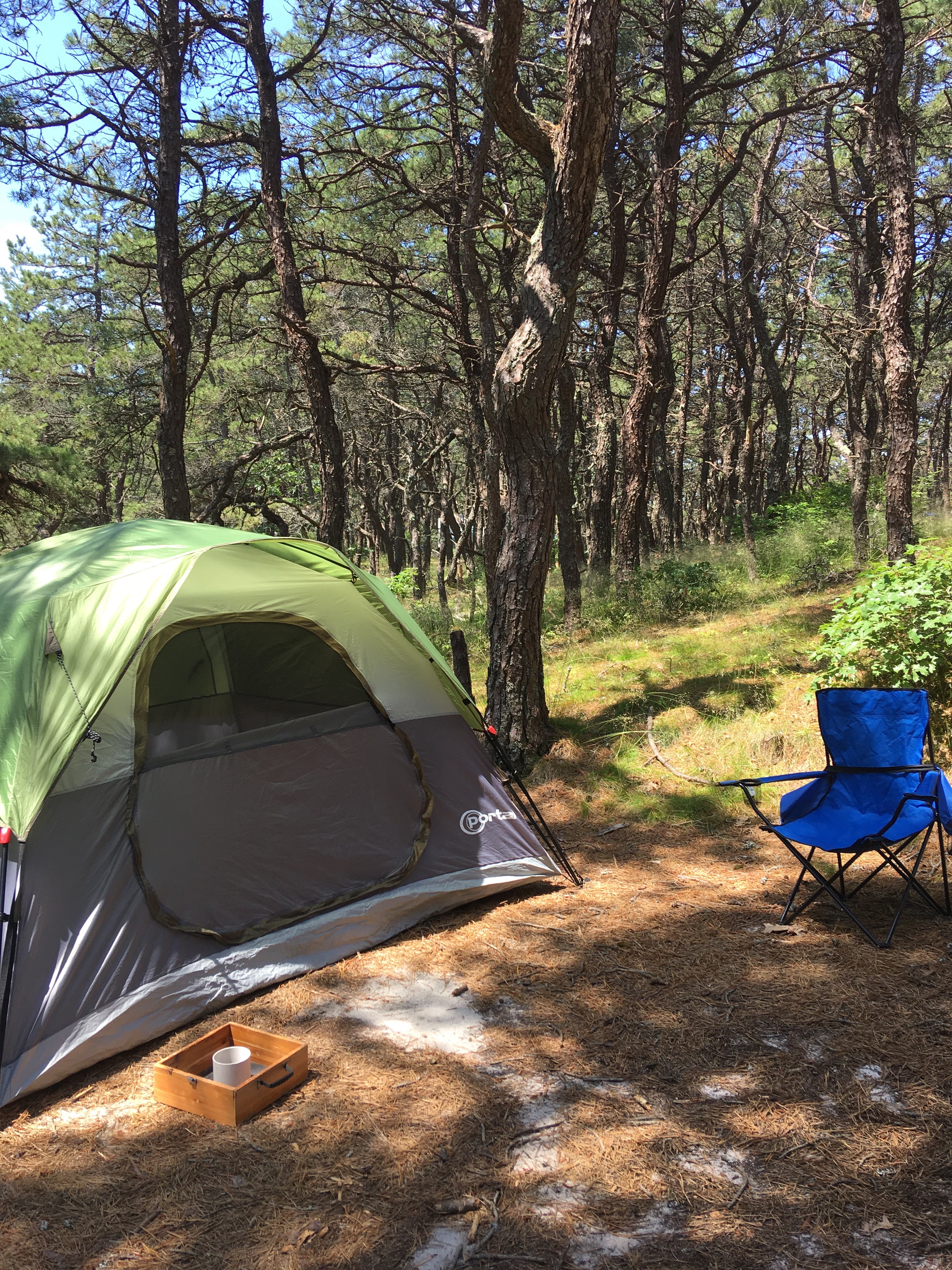 Camper submitted image from North of Highland Camping Area - 5