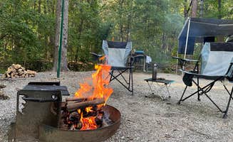 Darlene R.'s photo at Morganton Point Campground near Cherry Log, GA