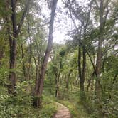 Review photo of Lake Macbride State Park Campground by Megan M., October 2, 2021