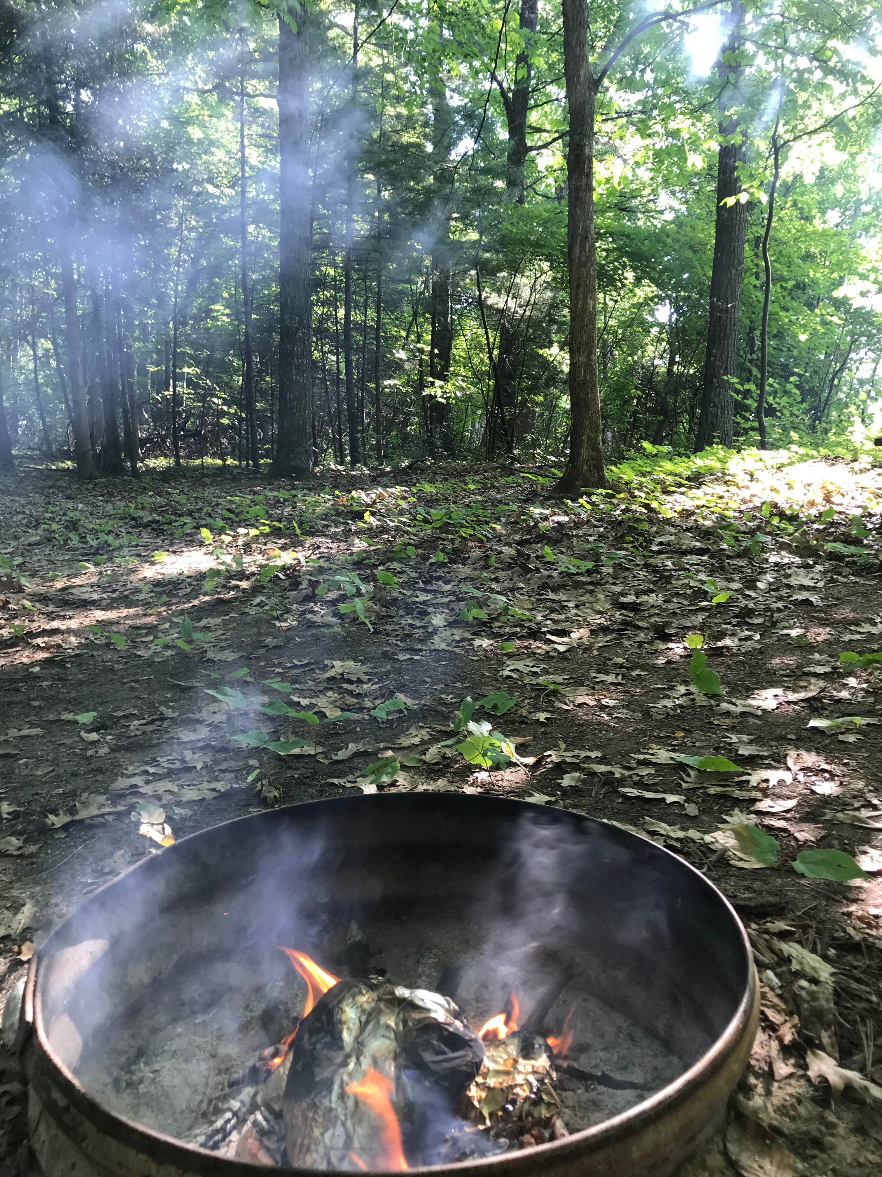 Camper-submitted photo at Power Island County Park Primitive Campsites near Kingsley, MI