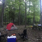 Review photo of Power Island County Park Primitive Campsites by Erin O., July 2, 2018