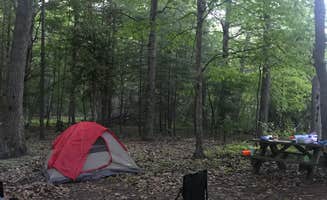 Erin O.'s photo of tent camping at Power Island County Park Primitive Campsites near Mancelona, MI