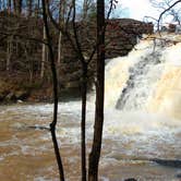 Review photo of Chewacla State Park Campground by Mike V., July 22, 2016