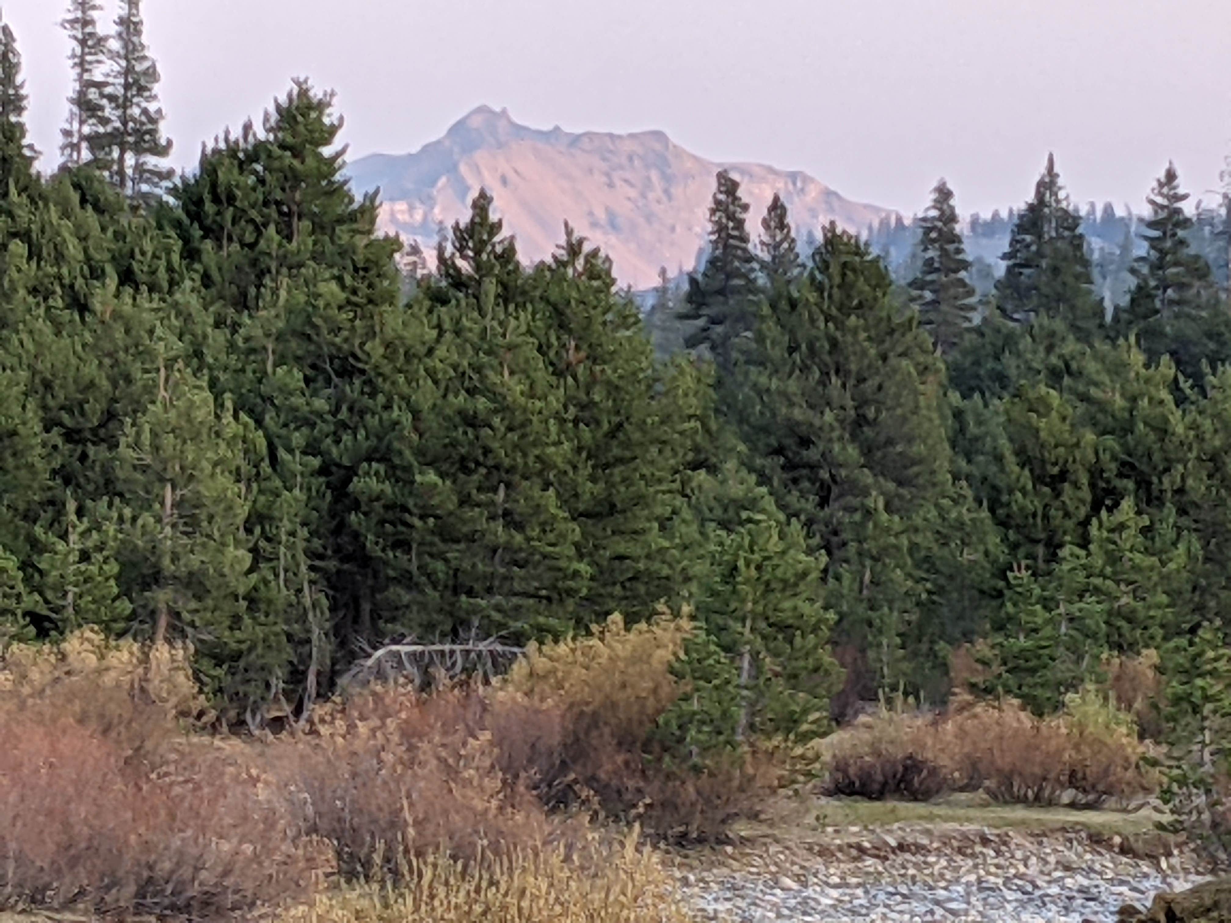 Camper-submitted photo at Highland Lakes Campground near Coleville, CA
