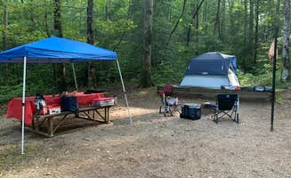 Phil K.'s photo at Lake Winfield Scott Campground near Chattahoochee-Oconee National Forests