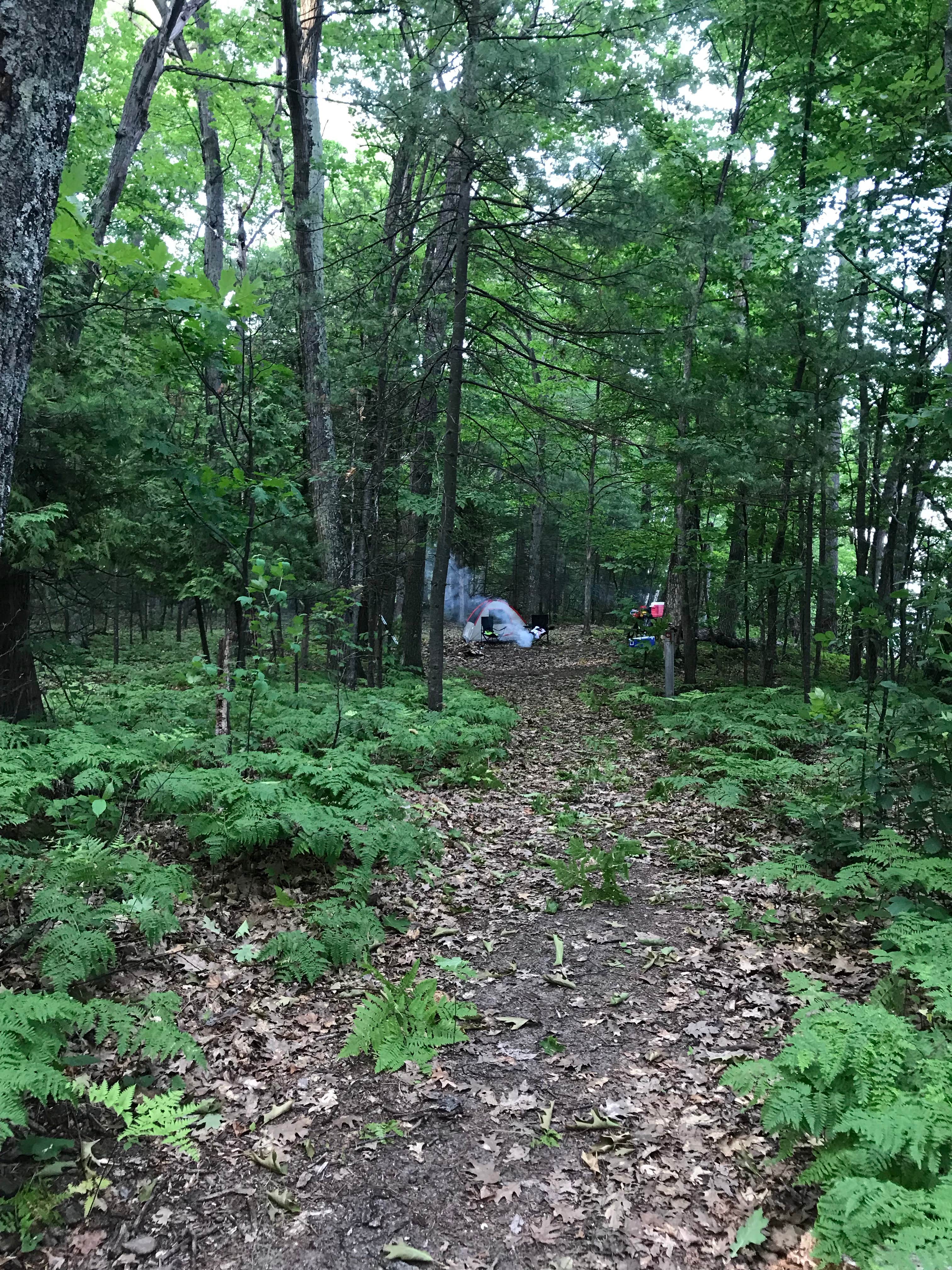 Camper-submitted photo at Power Island County Park Primitive Campsites near Kingsley, MI