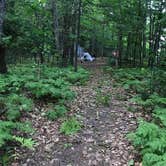 Review photo of Power Island County Park Primitive Campsites by Erin O., July 2, 2018