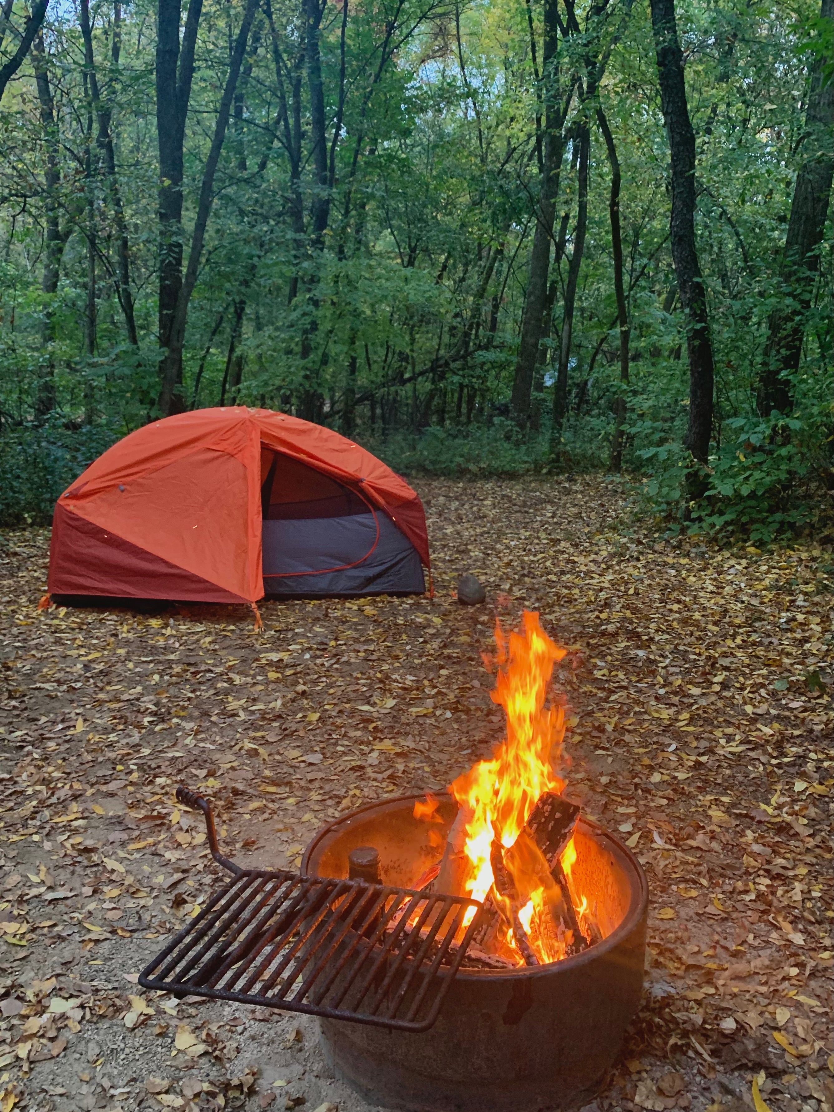 Camper submitted image from Sakatah Lake State Park Campground - 5