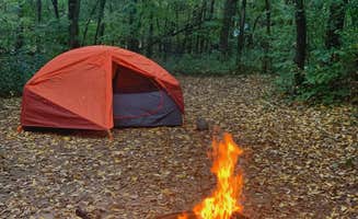 Meg W.'s photo at Sakatah Lake State Park Campground near Northfield, MN