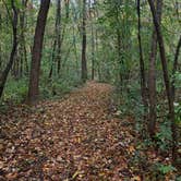 Review photo of Sakatah Lake State Park Campground by Meg W., October 3, 2021