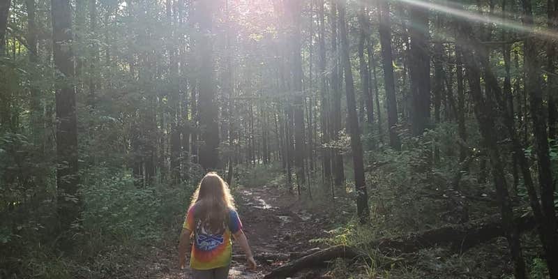 Camper submitted image from Red Bluff Camp