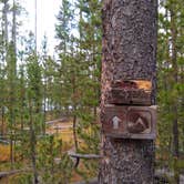 Review photo of 4D1- Ice Lake North - Yellowstone NP Back Country campsite by Dexter I., October 3, 2021